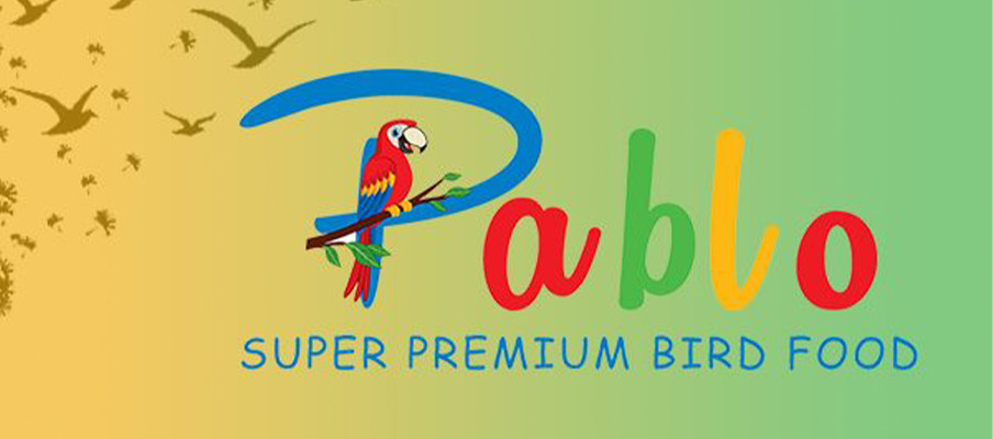 Pablo 
