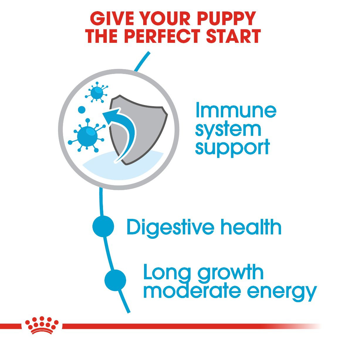 Royal Canin Pro Maxi Puppy 16 kg 