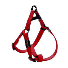 مقاود وأطواق كلاب Nunbell