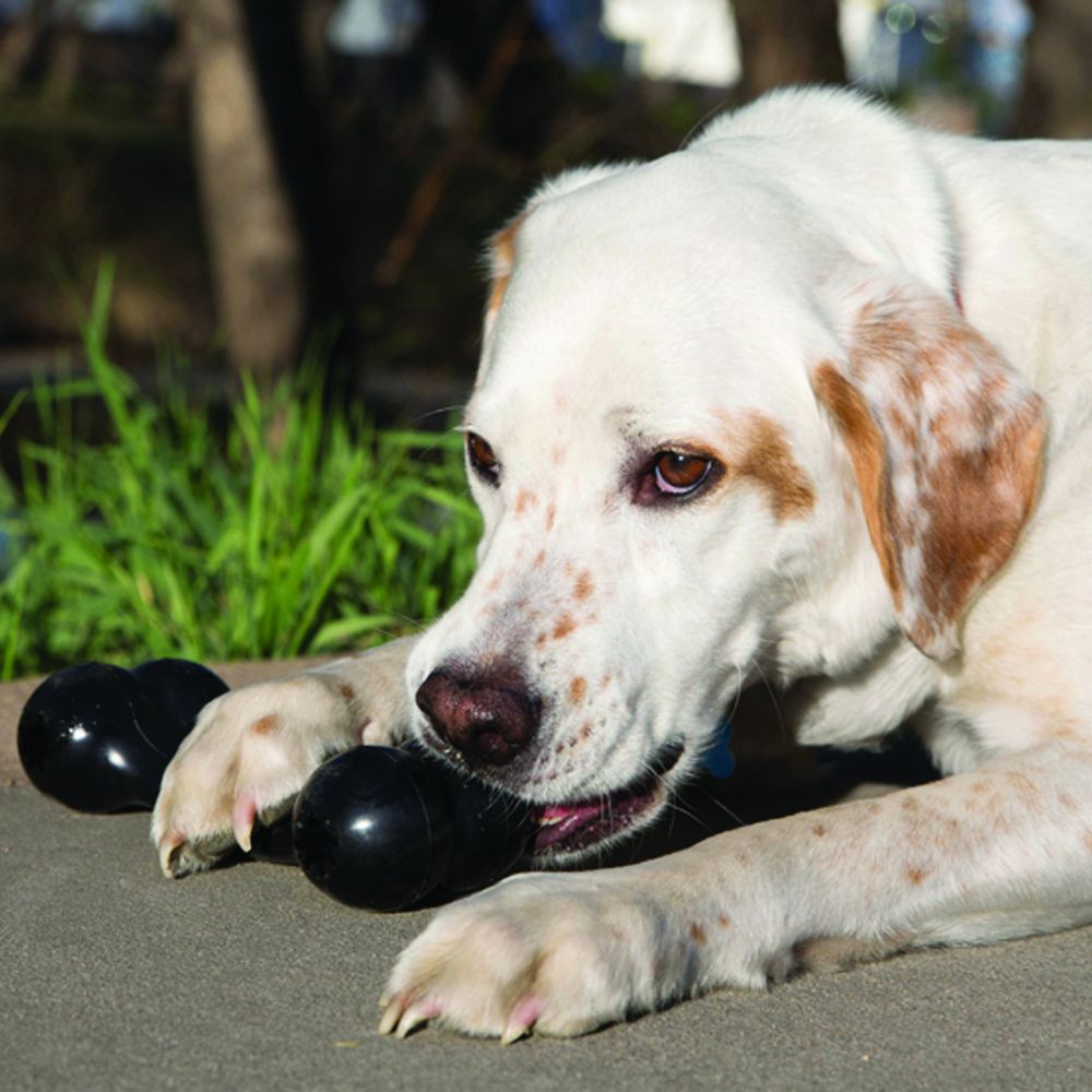 KONG Extreme Goodie Bone - Medium