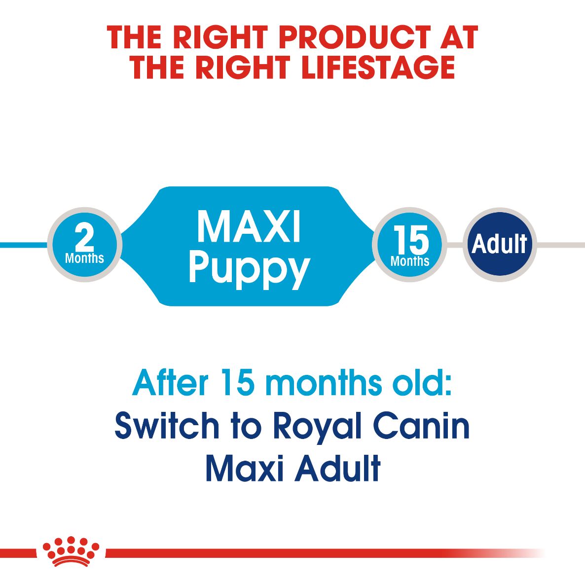 Royal Canin Maxi Puppy 4 kg