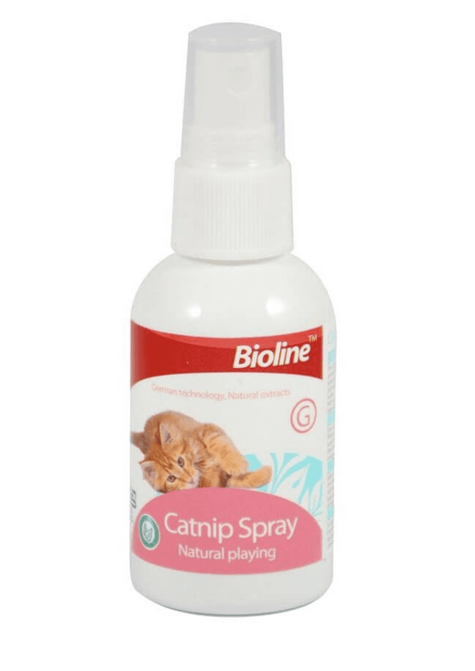 مكافآت قطط Bioline 50 مل