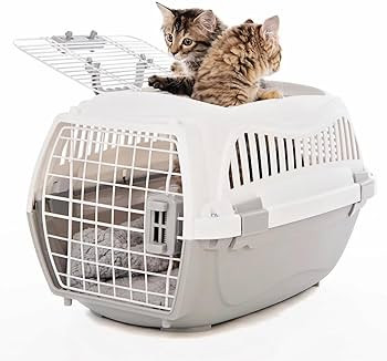 إكسسوارات إكسسوارات M-PETS