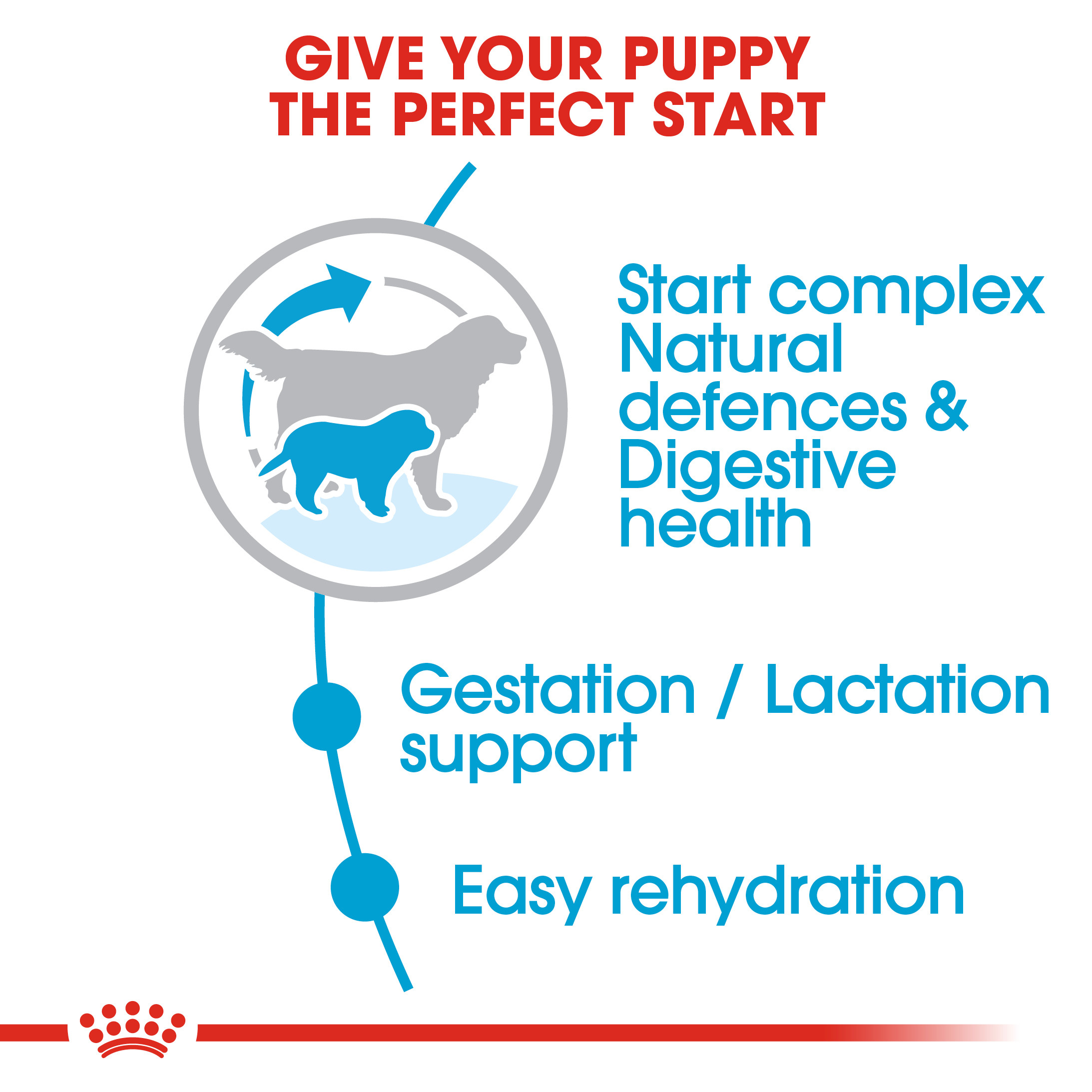 Royal Canin Giant Starter M&B  15 kg