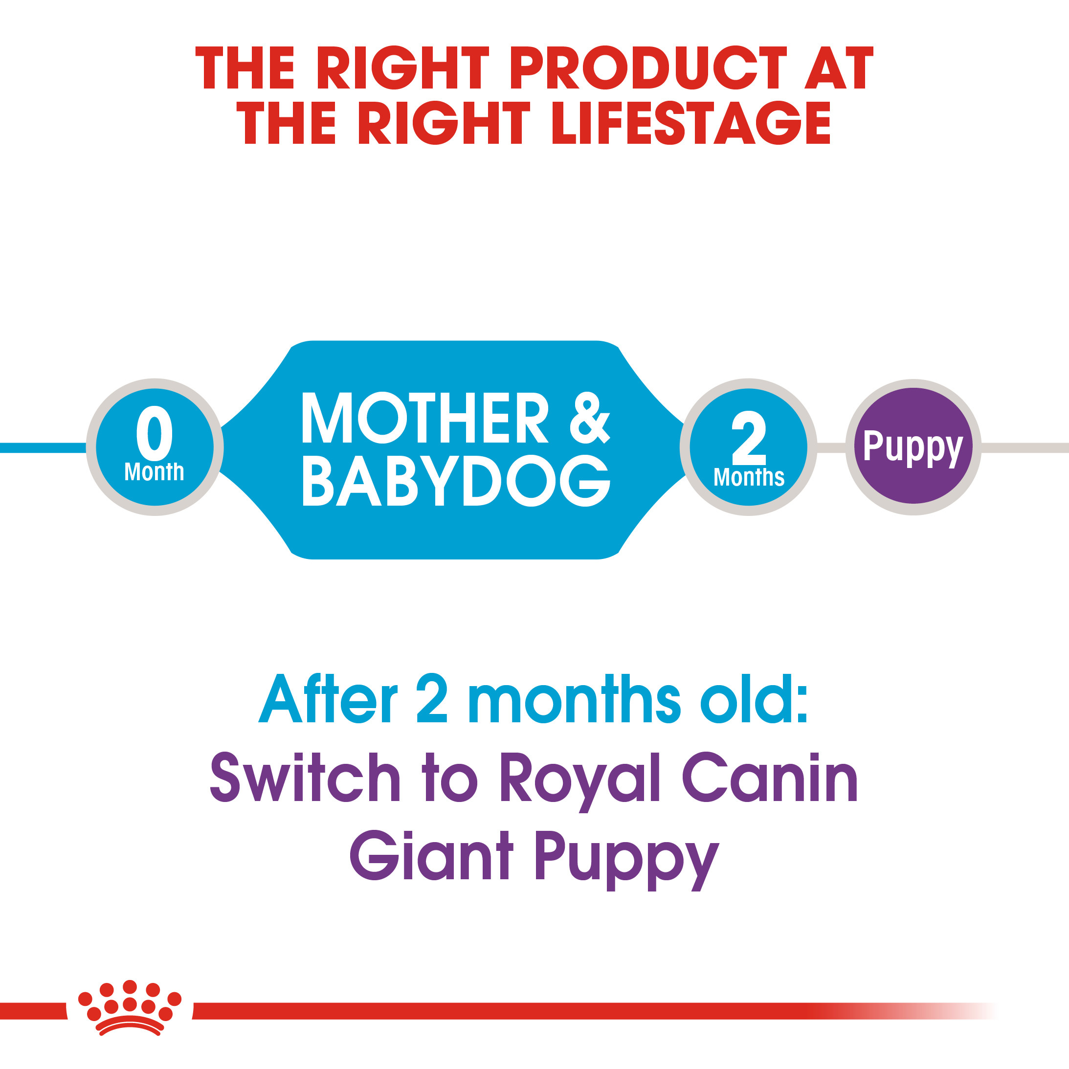 Royal Canin Giant Starter M&B  15 kg