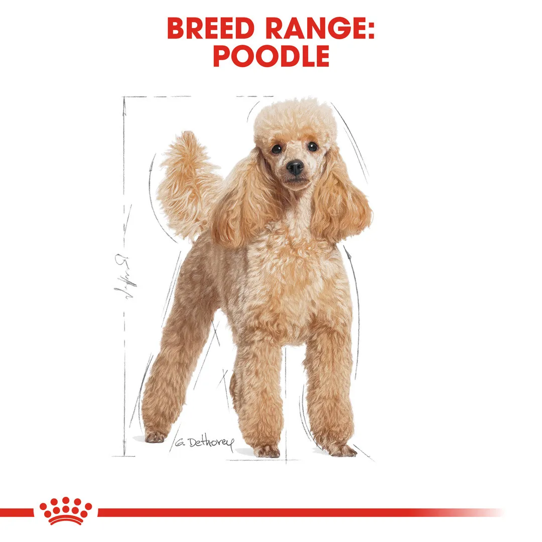 Royal canin Poodle Adult Dry Dog Food 3 Kg