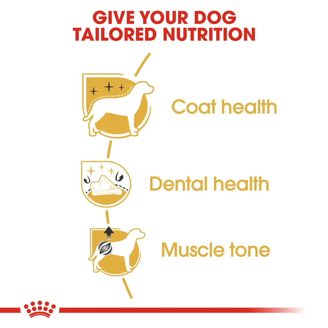 Royal canin Poodle Adult Dry Dog Food 3 Kg