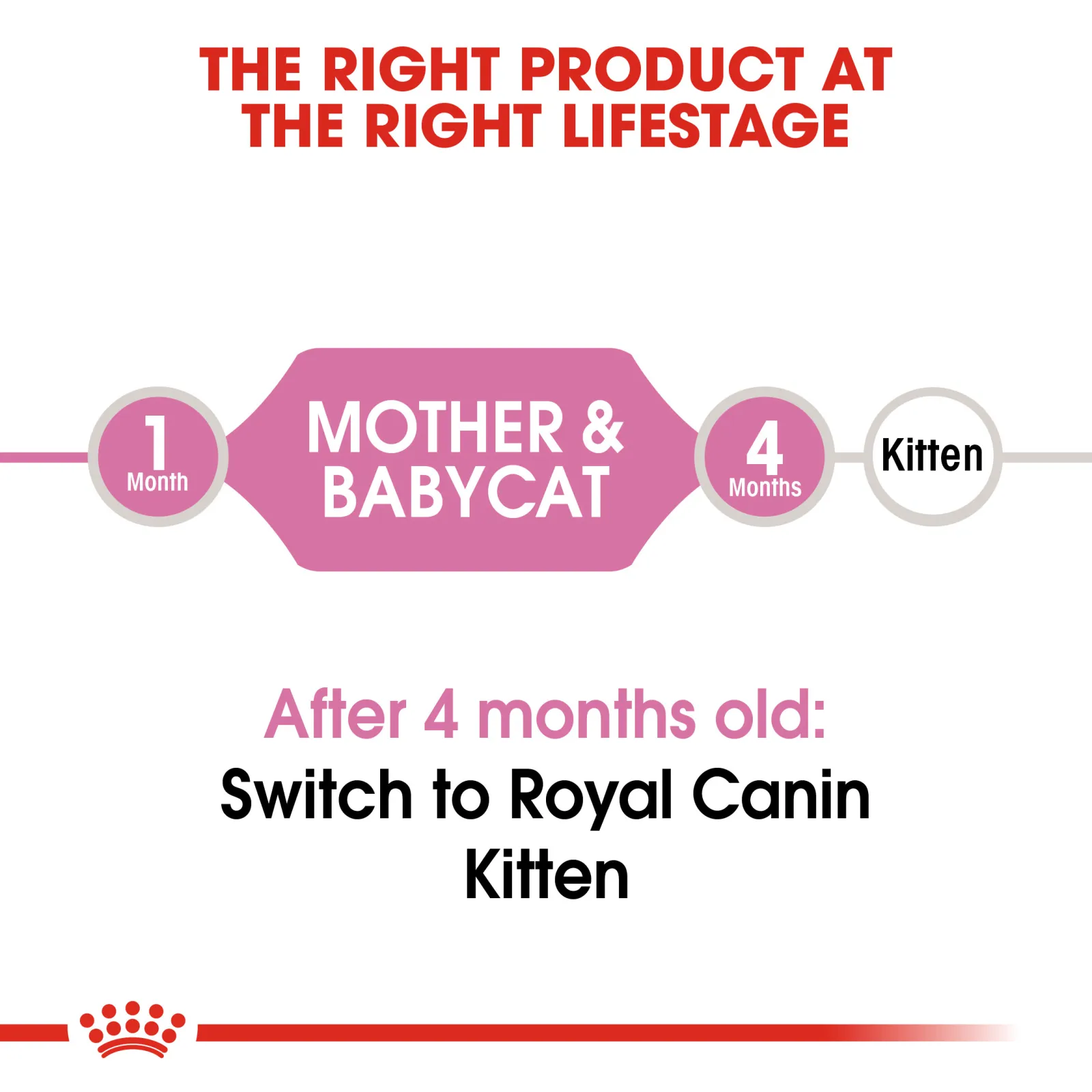 Royal Canin Mother&Baby Cat 4 kg