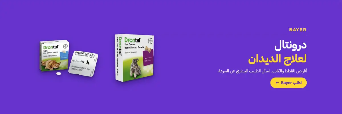 باير
