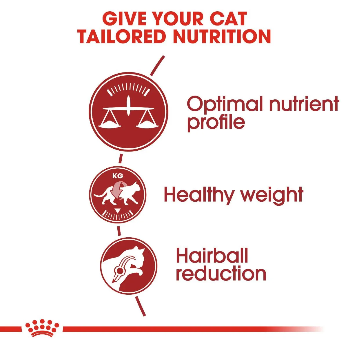 Royal Canin Fhn Fit32 400 gm