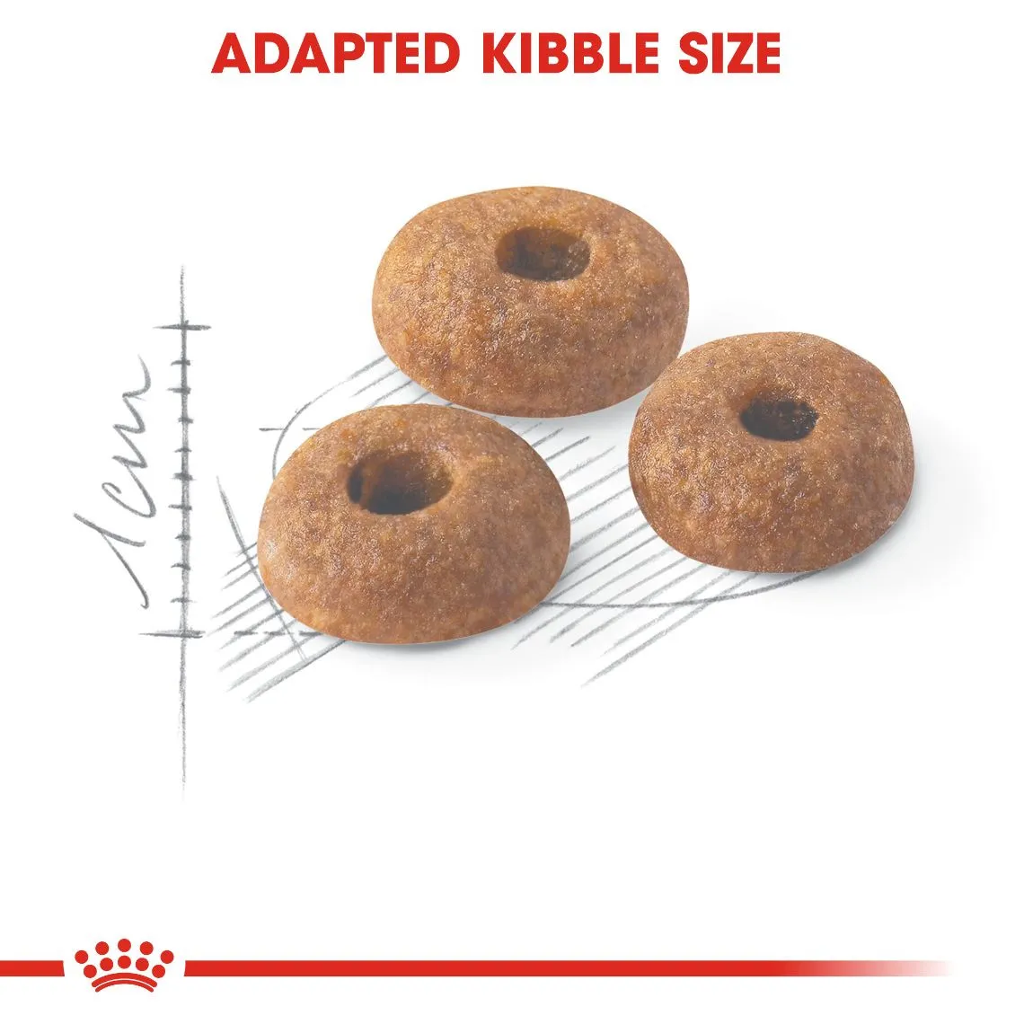 Royal Canin Fhn Fit32 400 gm