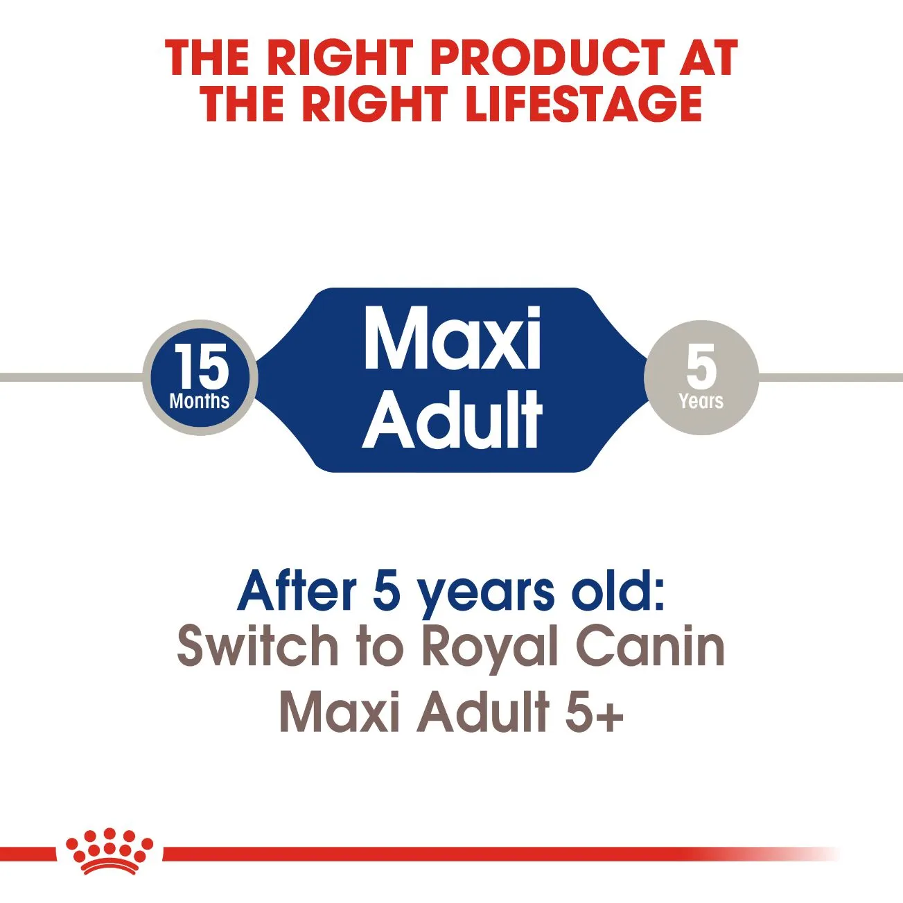 Royal Canin Maxi Adult 4 kg
