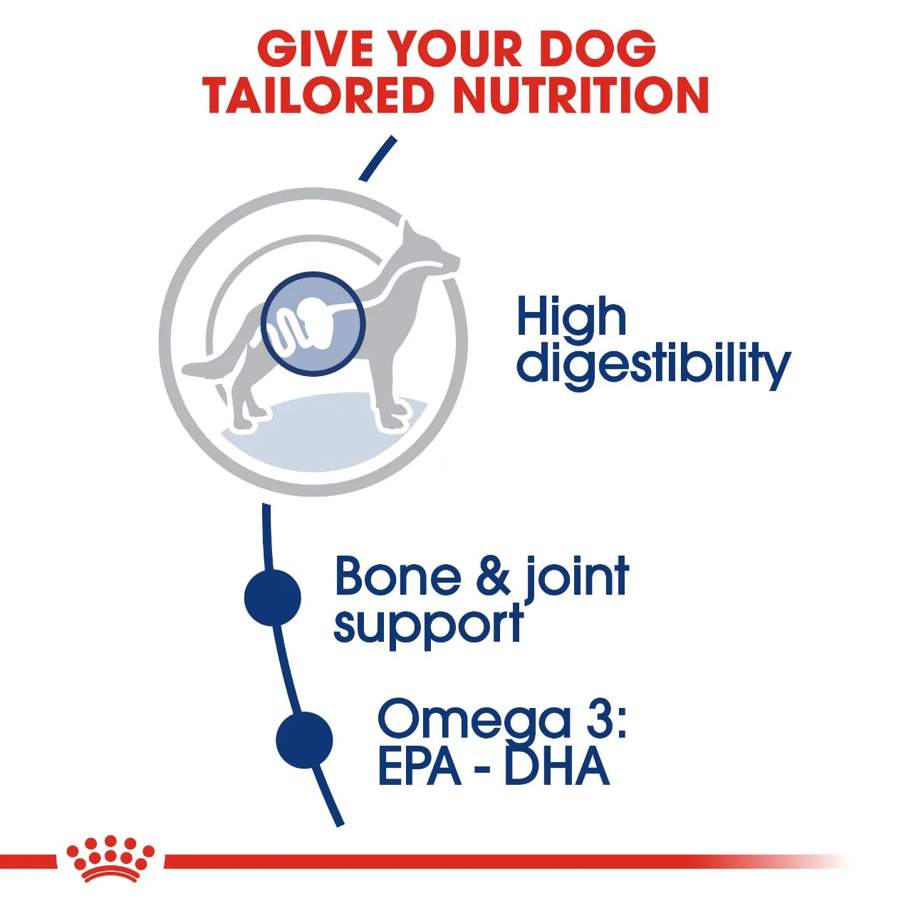Royal Canin Maxi Adult 4 kg