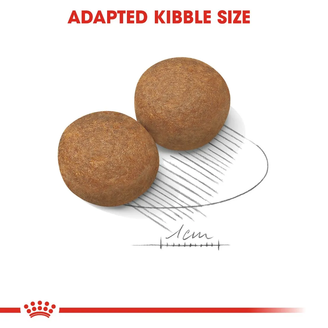 Royal Canin Maxi Adult 4 kg