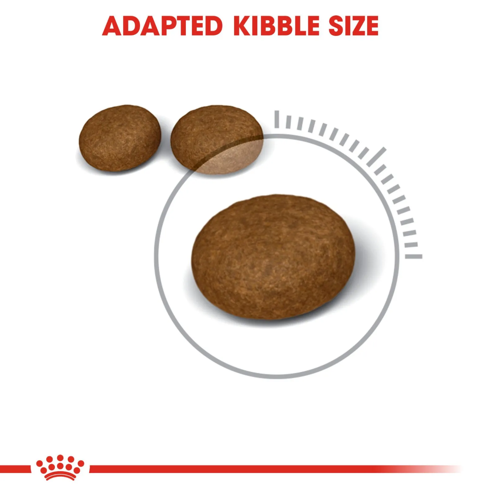Royal Canin Hair & Skin33 4 kg