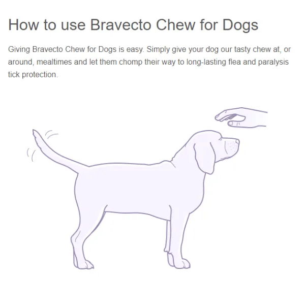 Bravecto Dog 1000mg | 20kg-40kg