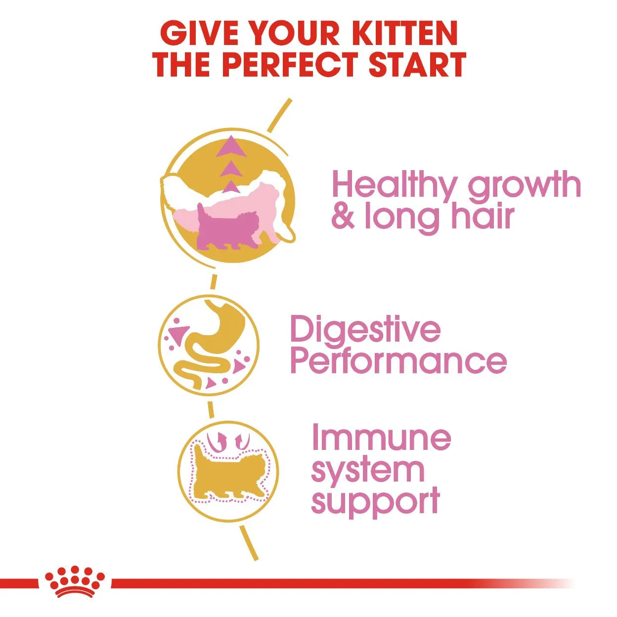 Royal Canin Kitten Persian 2 kg