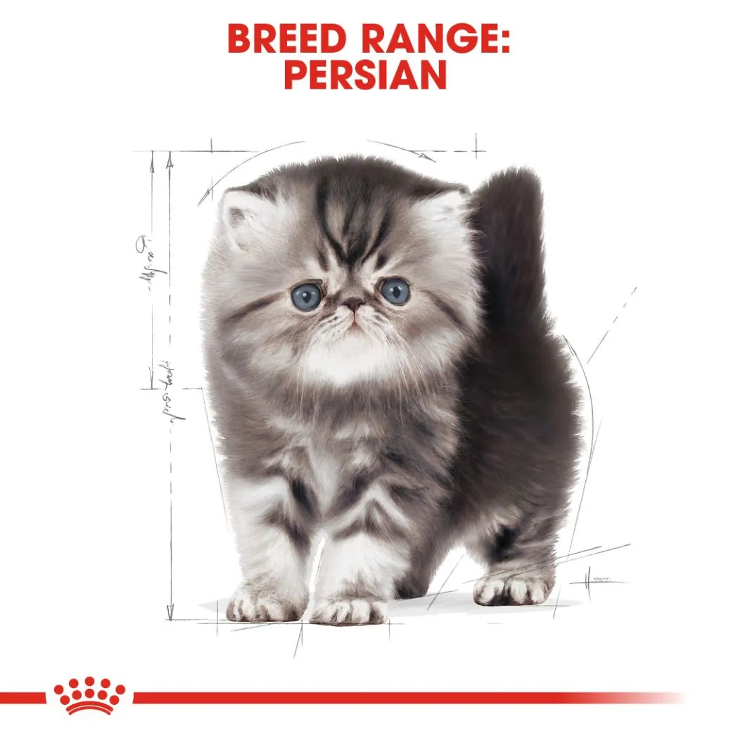 Royal Canin Kitten Persian 2 kg