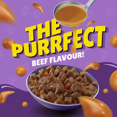 Friskies With Beef In Gravy 85 gm