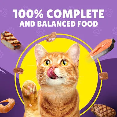 Friskies With Beef In Gravy 85 gm