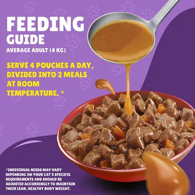 Friskies With Beef In Gravy 85 gm