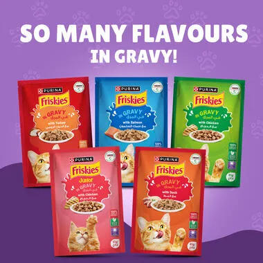 Friskies With Beef In Gravy 85 gm