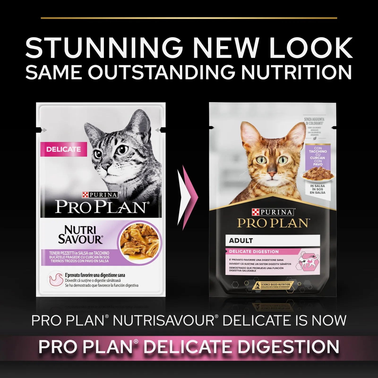 PRO PLAN Delicate Digestion with Turkey in Gravy - 85gm