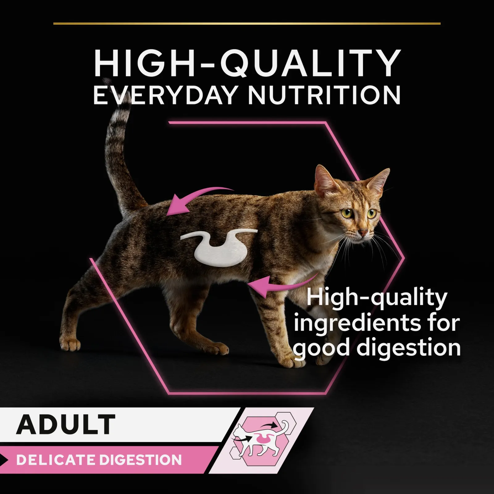 PRO PLAN Delicate Digestion with Turkey in Gravy - 85gm