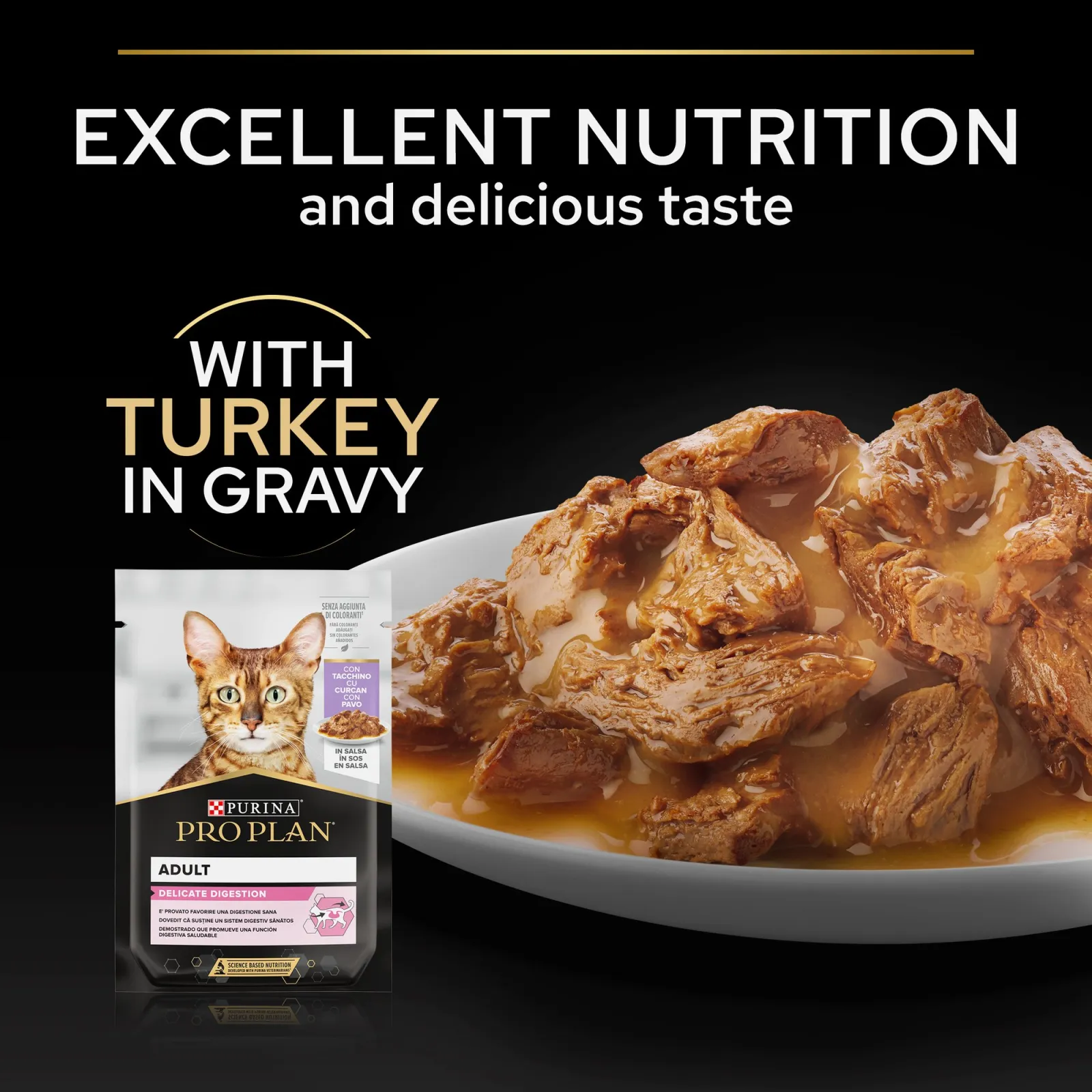 PRO PLAN Delicate Digestion with Turkey in Gravy - 85gm