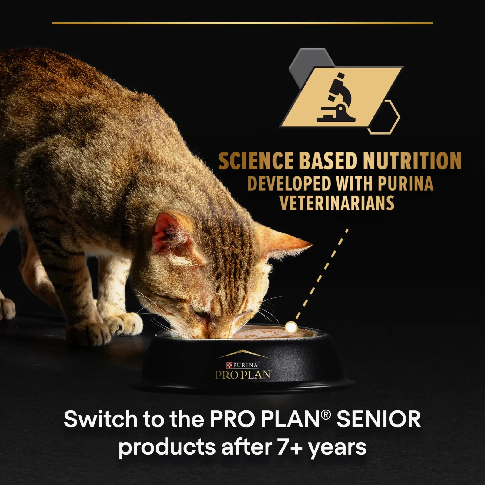 PRO PLAN Delicate Digestion with Turkey in Gravy - 85gm