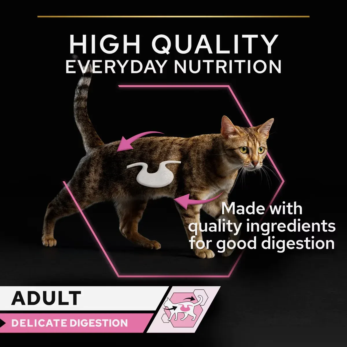 PRO PLAN Delicate Digestion Adult Cat Wet Food with TURKEY - 10 X 85gm