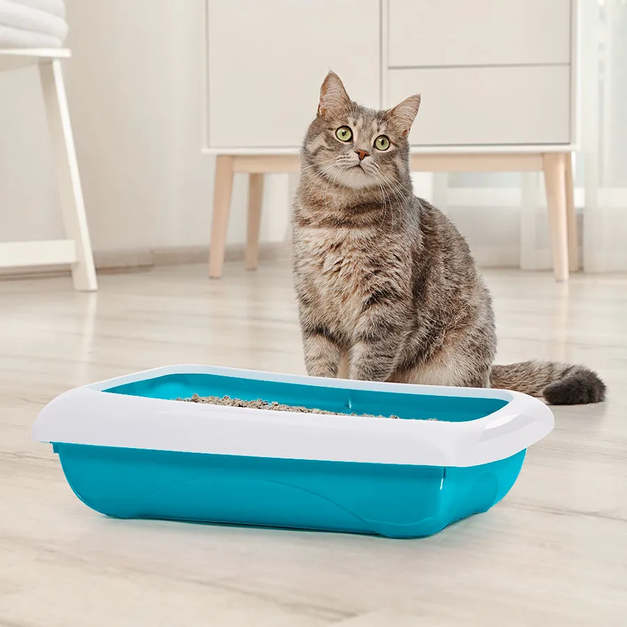 IMAC DODO Litter Box