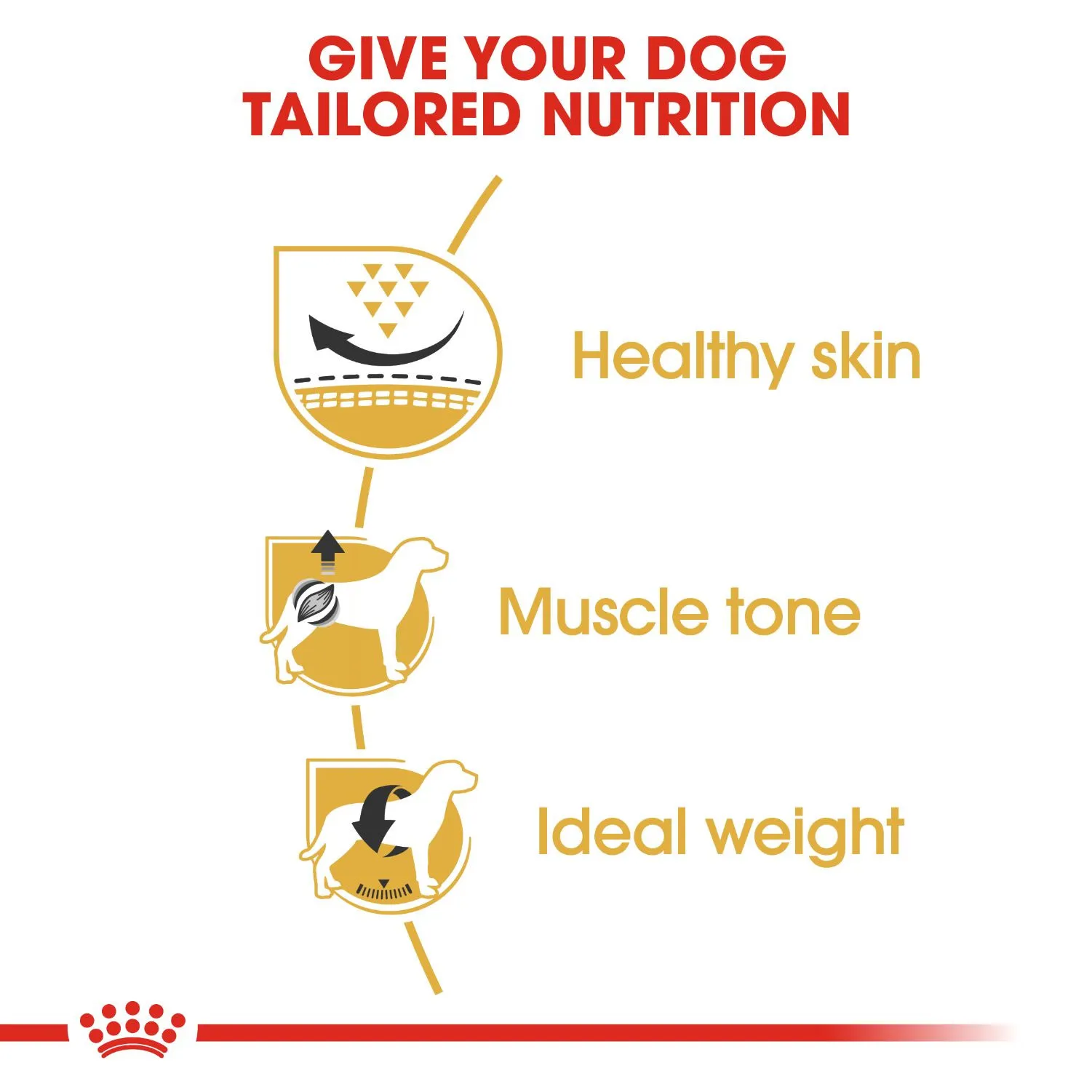 Royal Canin Pug adult 1.5 kg