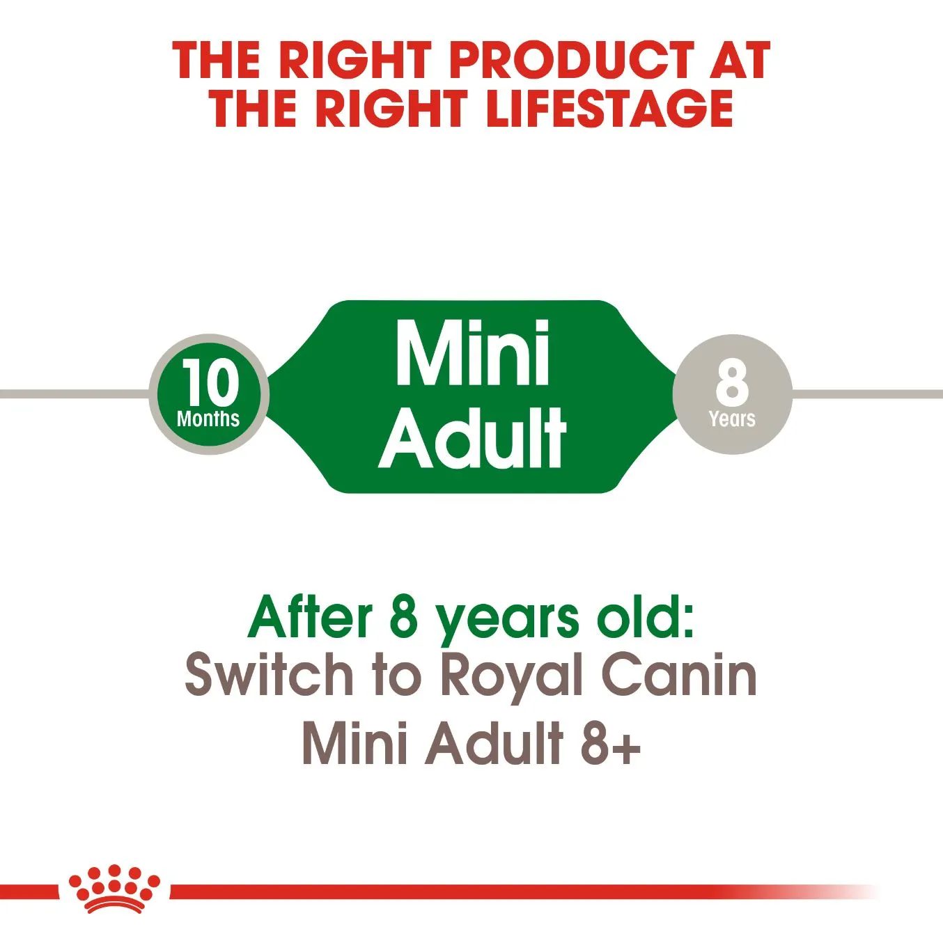 Royal Canin Mini Adult 2 kg