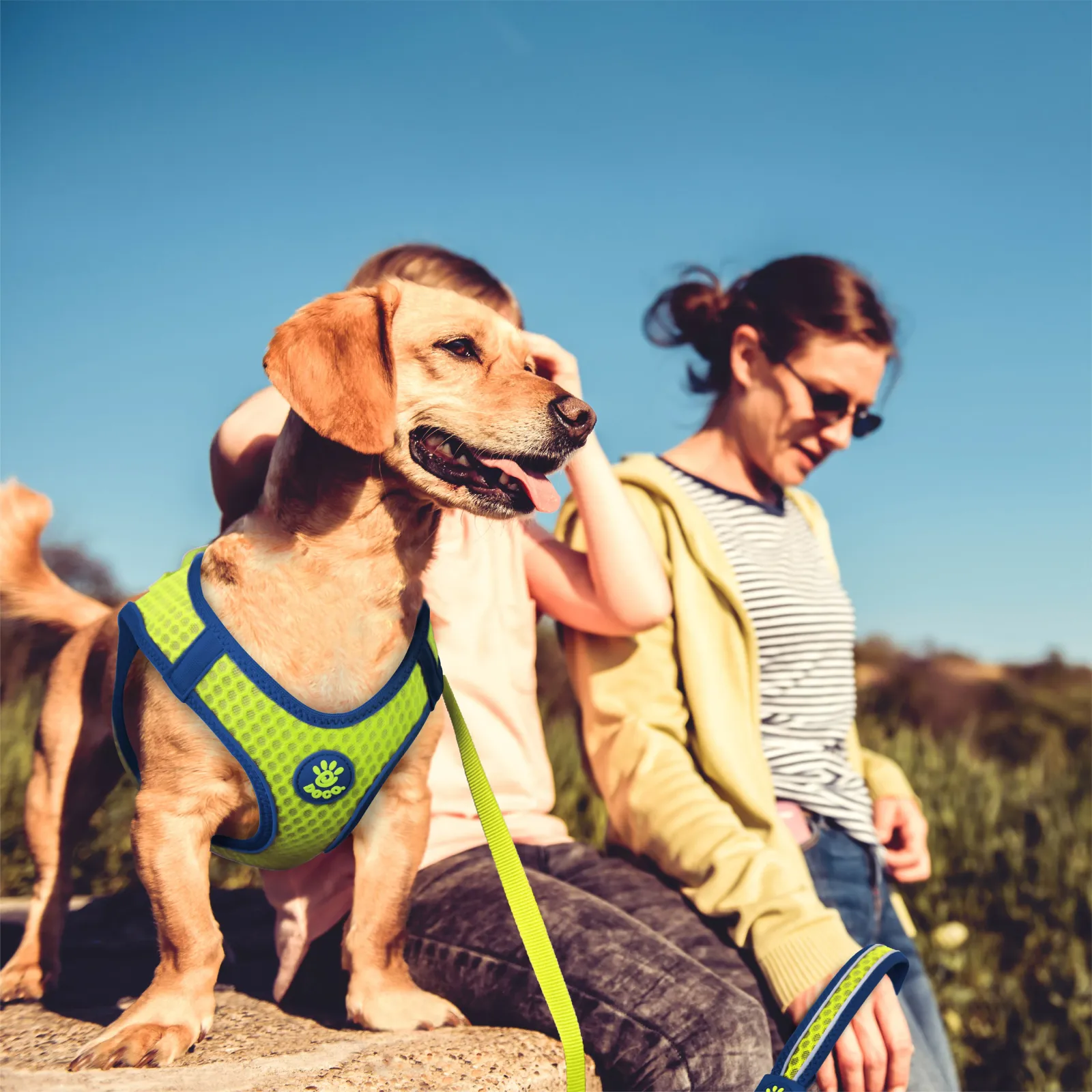 DOCO Net Mesh Leash - Small - DCA3260