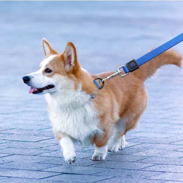 DOCO SIGNATURE NYLON LEASH - DCSN1048