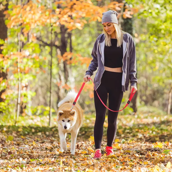 DOCO SIGNATURE NYLON LEASH - DCSN1048