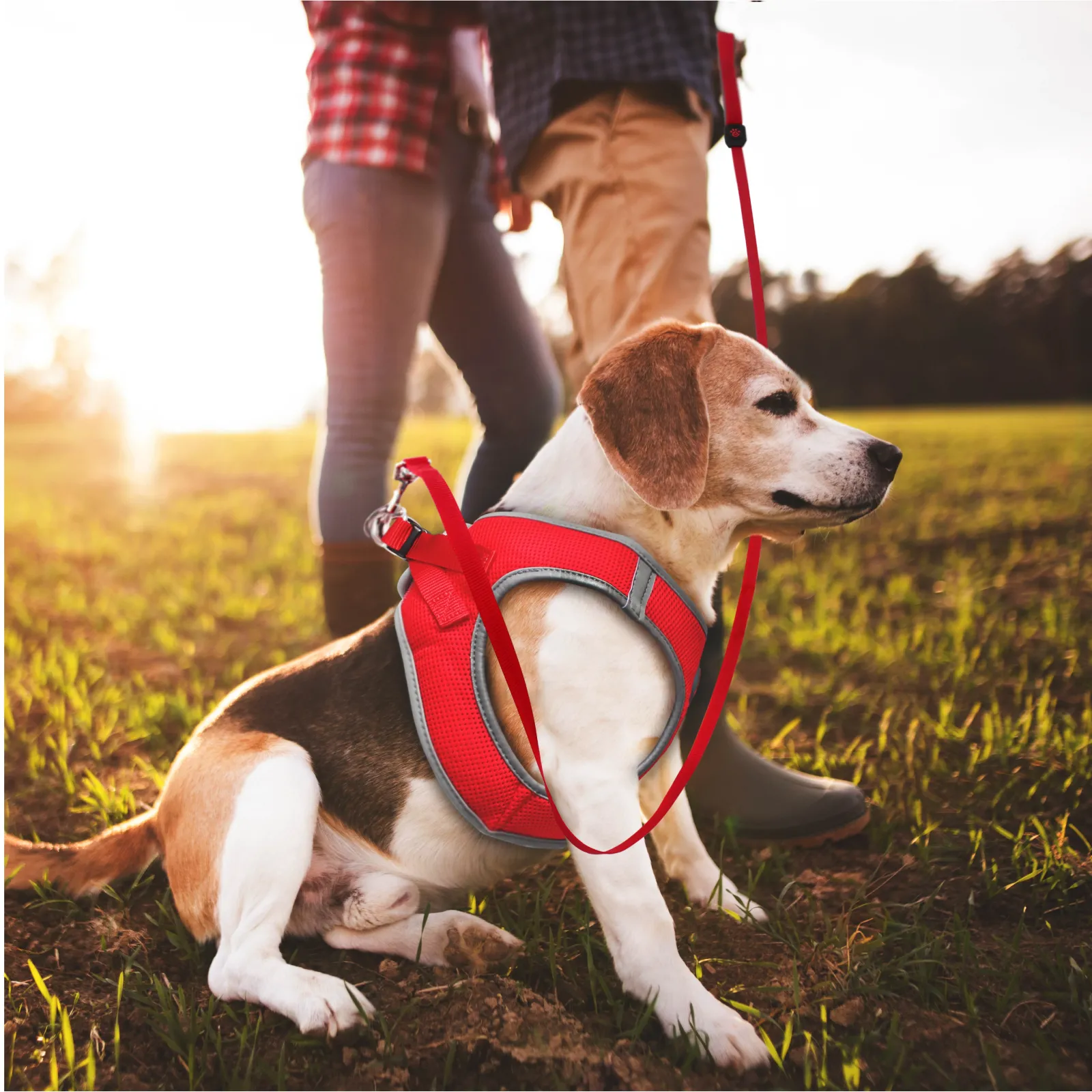 DOCO Athletica Reflective Leash Small - DCA3660