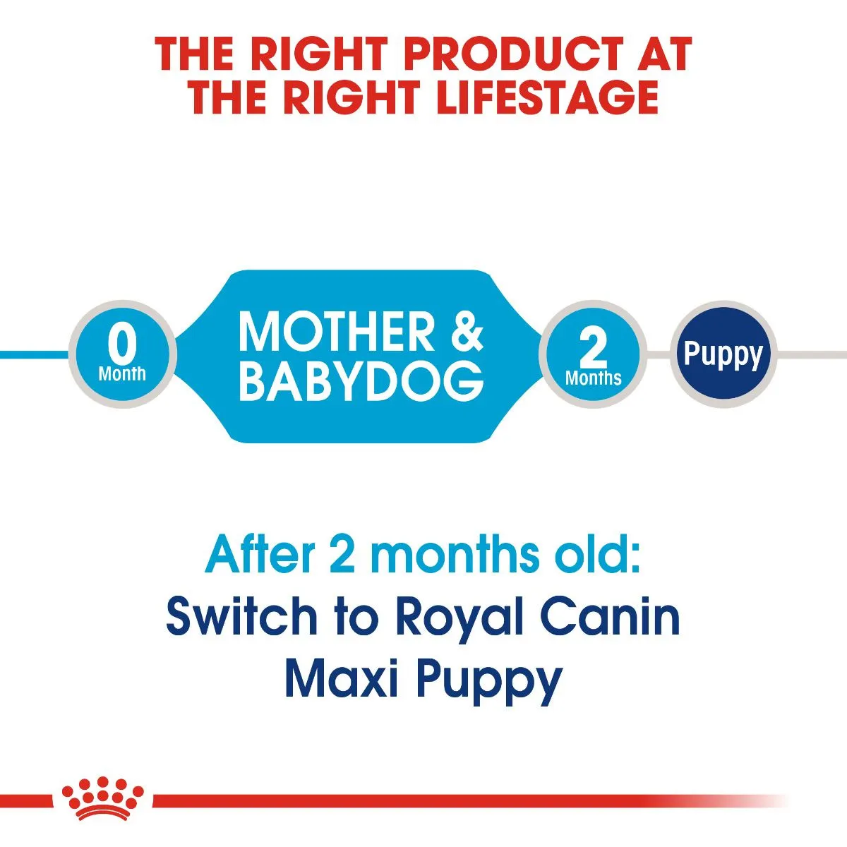 Royal Canin Maxi Starter M&B 4 kg