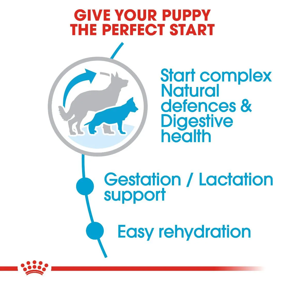 Royal Canin Maxi Starter M&B 4 kg