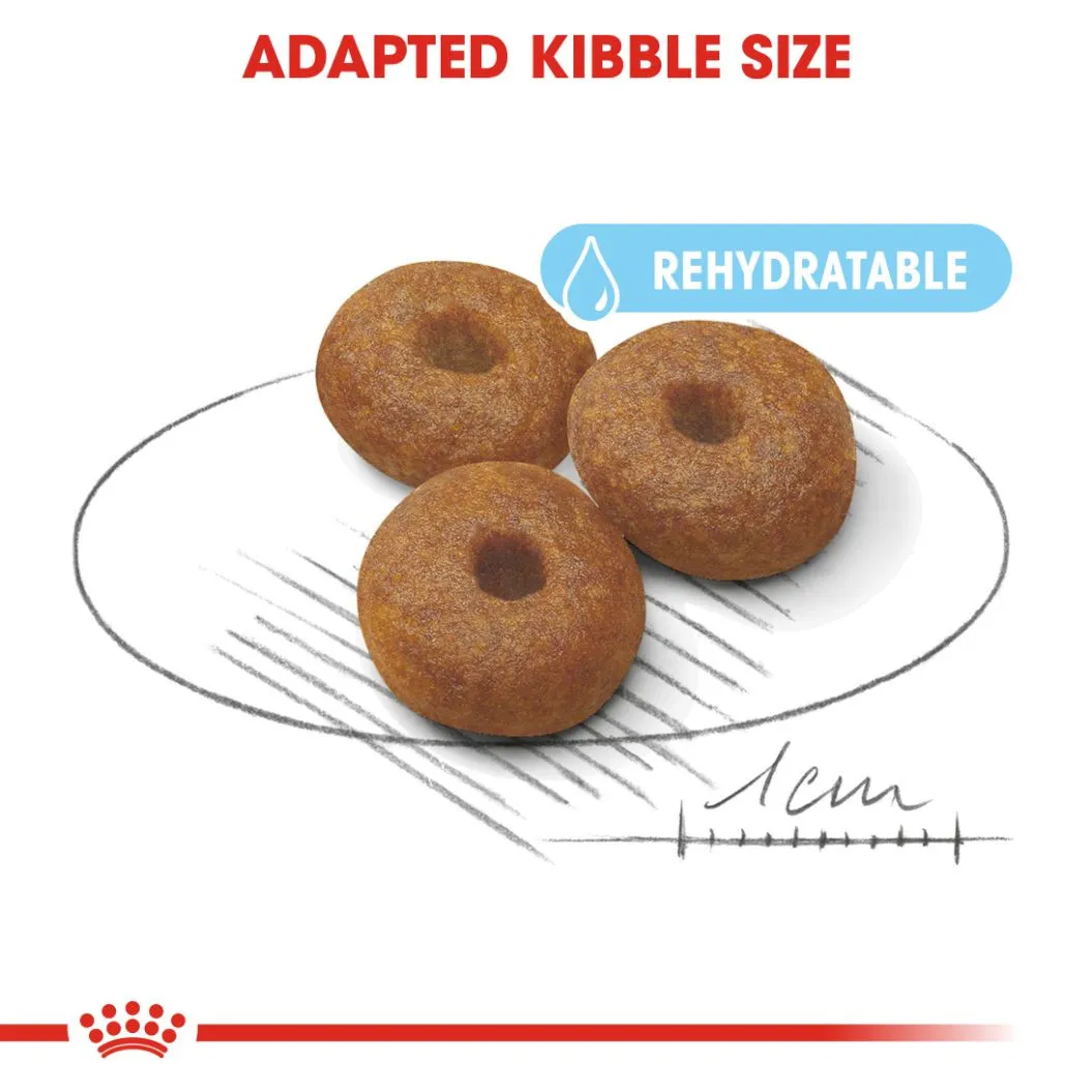 Royal Canin Maxi Starter M&B 4 kg