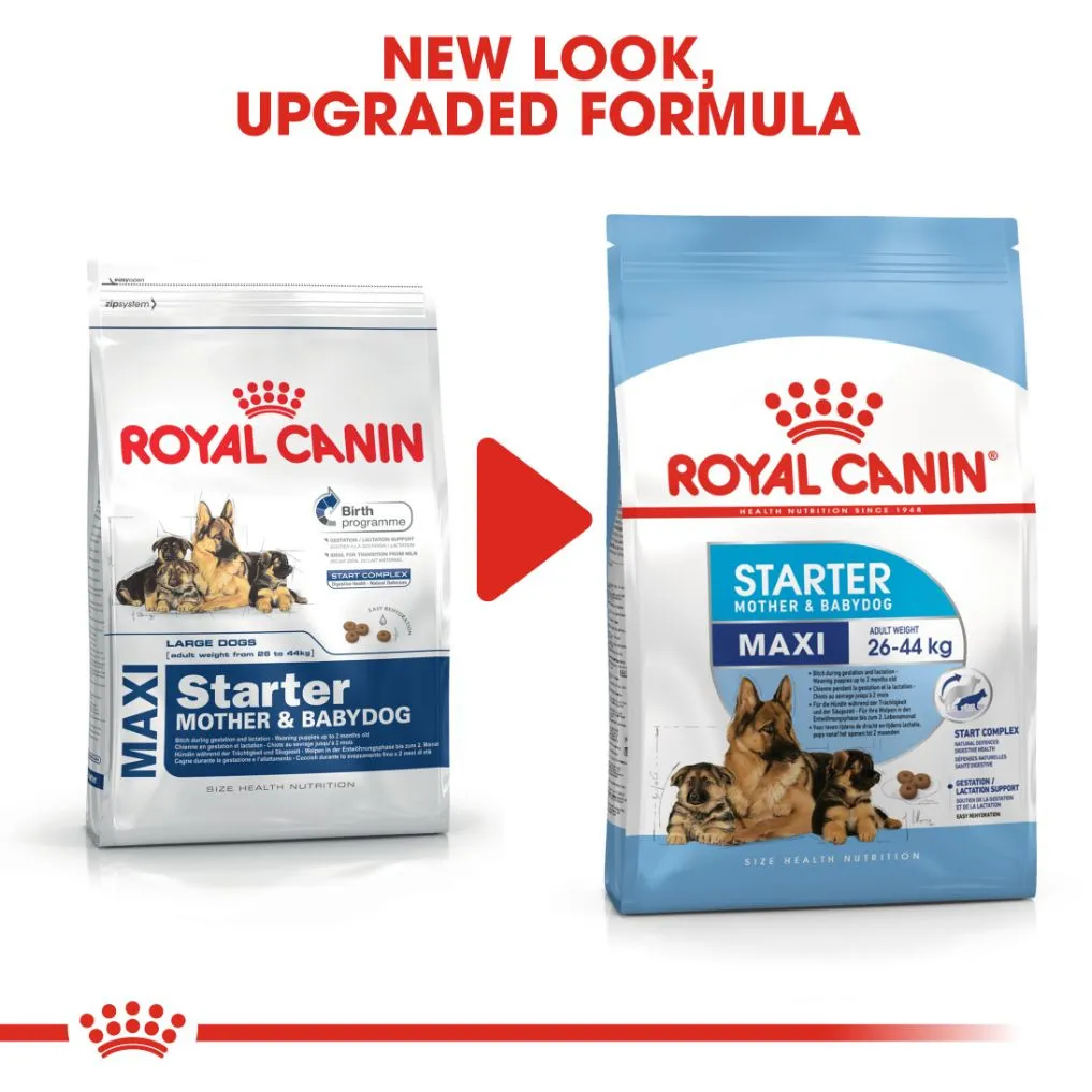 Royal Canin Maxi Starter M&B 4 kg
