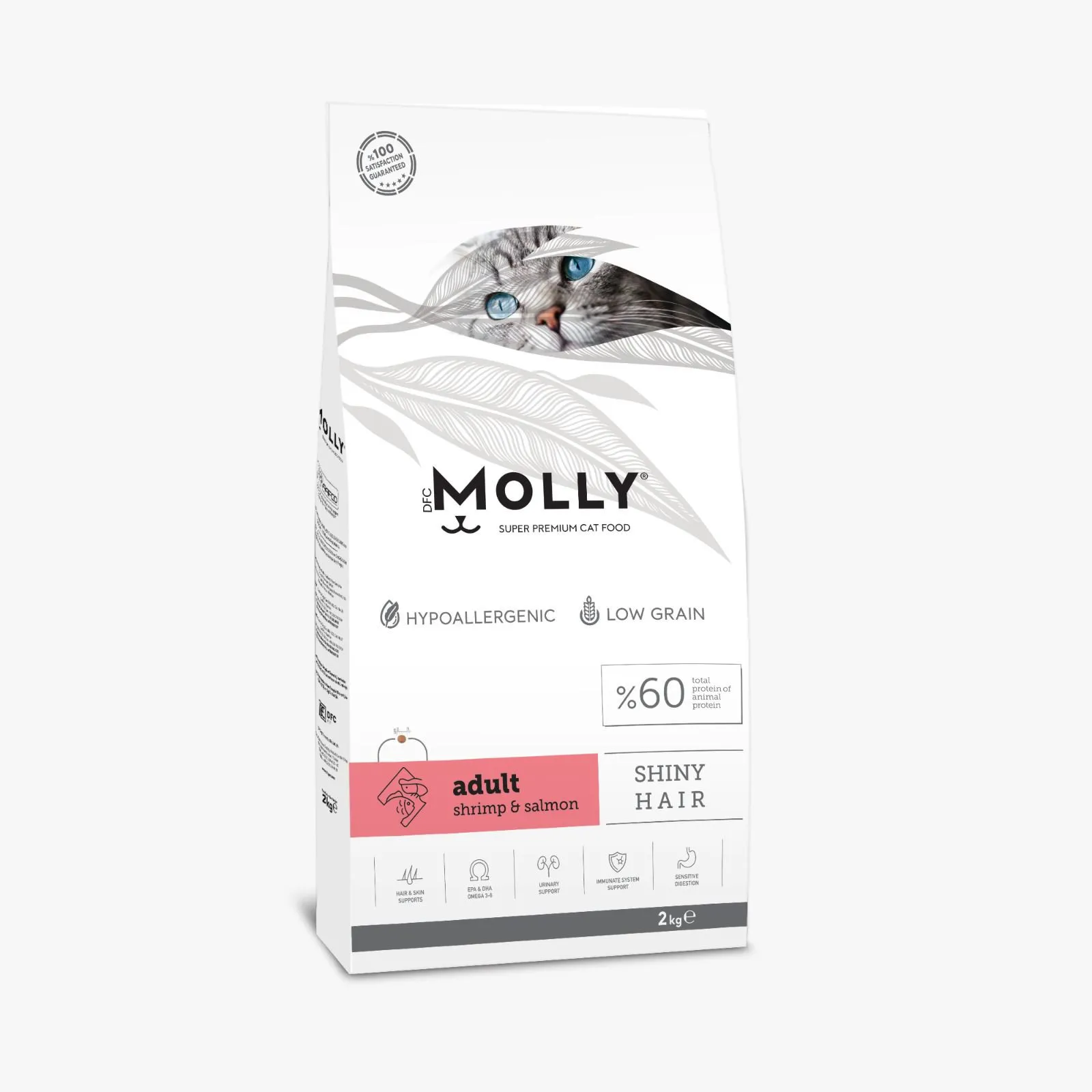 طعام جاف قطط MOLLY سلمون 2 كيلو