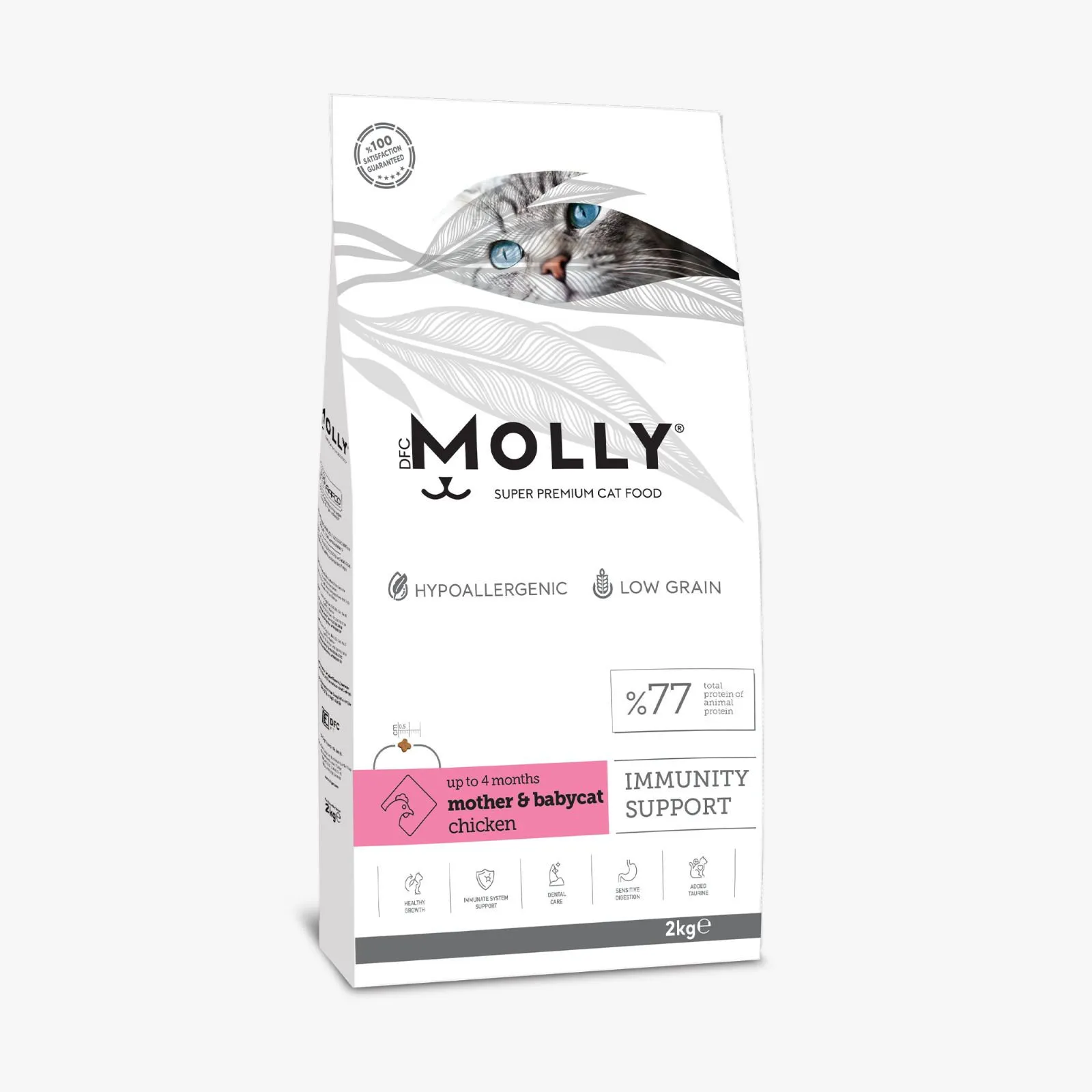 طعام جاف قطط MOLLY دجاج 2 كيلو