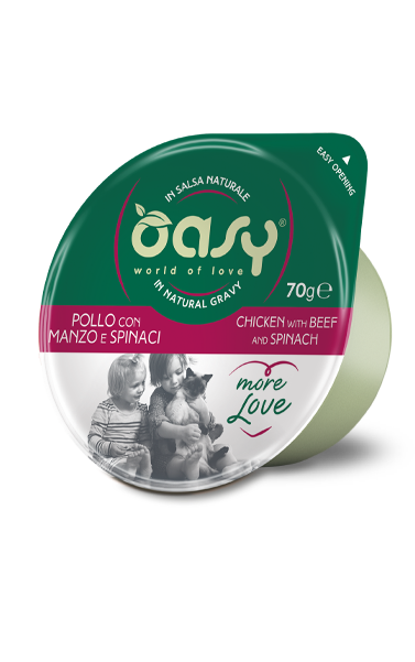 Oasy MORE LOVE CUP Chicken with Beef and Spinach - 70gm
