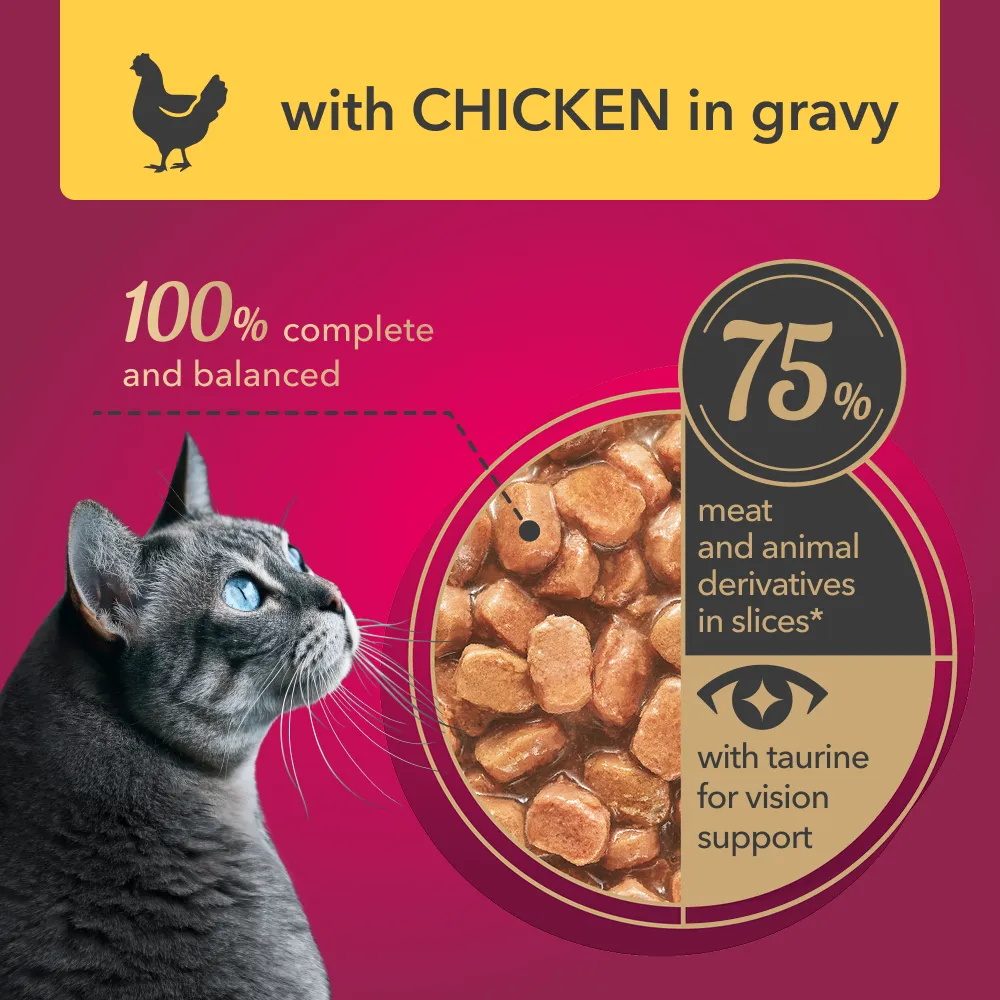 My Love  Adult Cat Wet Food With Chicken in Gravy -  85 gm