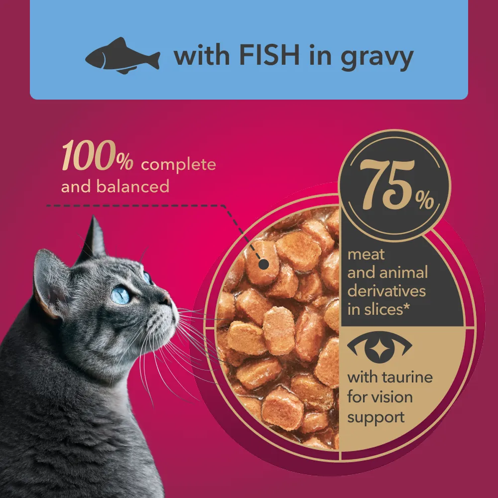 My Love  Adult Cat Wet Food With Fish in Gravy -  85 gm