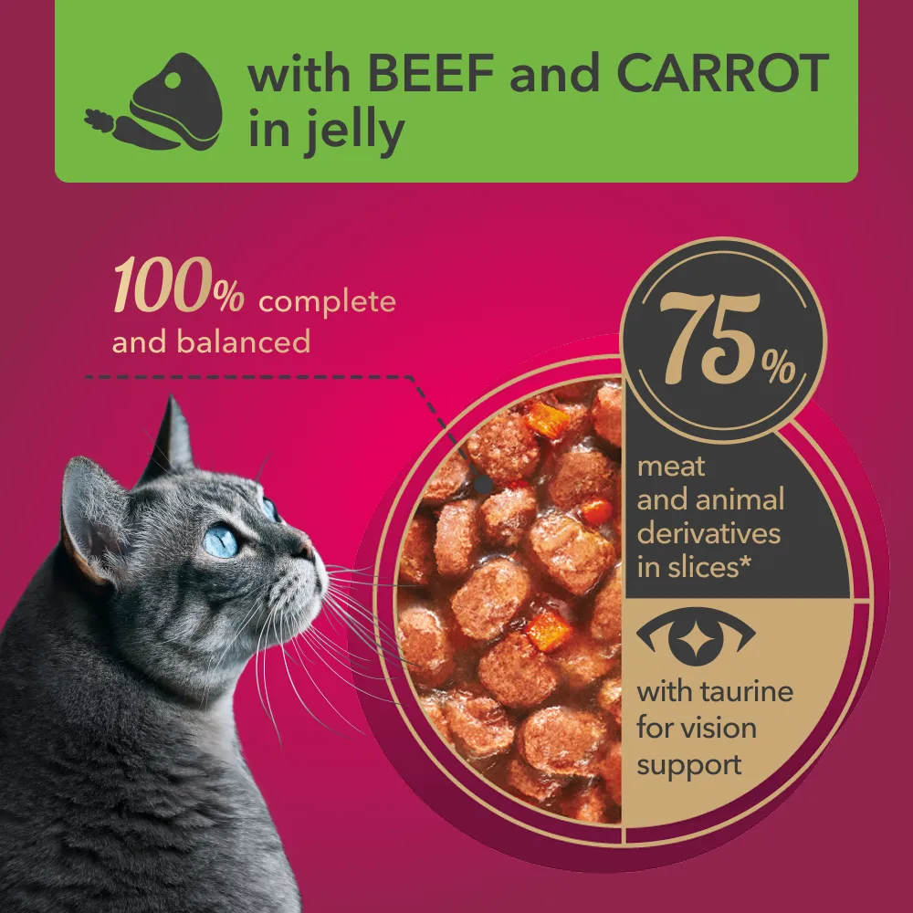 My Love  Adult Cat Wet Food With  Beef & Carrot in jelly -  85 gm