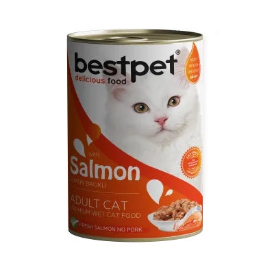 bestpet Salmon in Gravy for Adult Cats 400gm